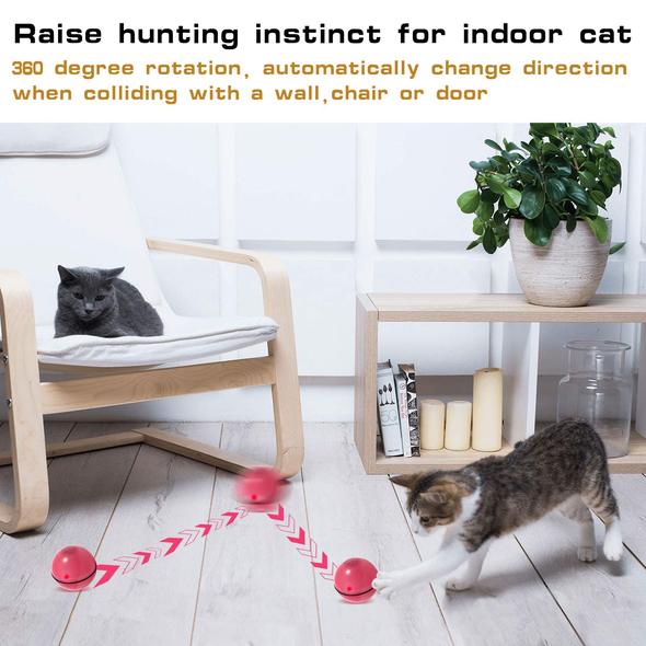 Smart Interactive Cat Toy - Newest Version 360 Degree Self Rotating Rechargeable Ball