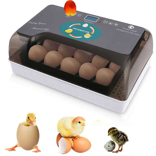Automatic Egg Incubator for Hatching Eggs - Chicken incubator
