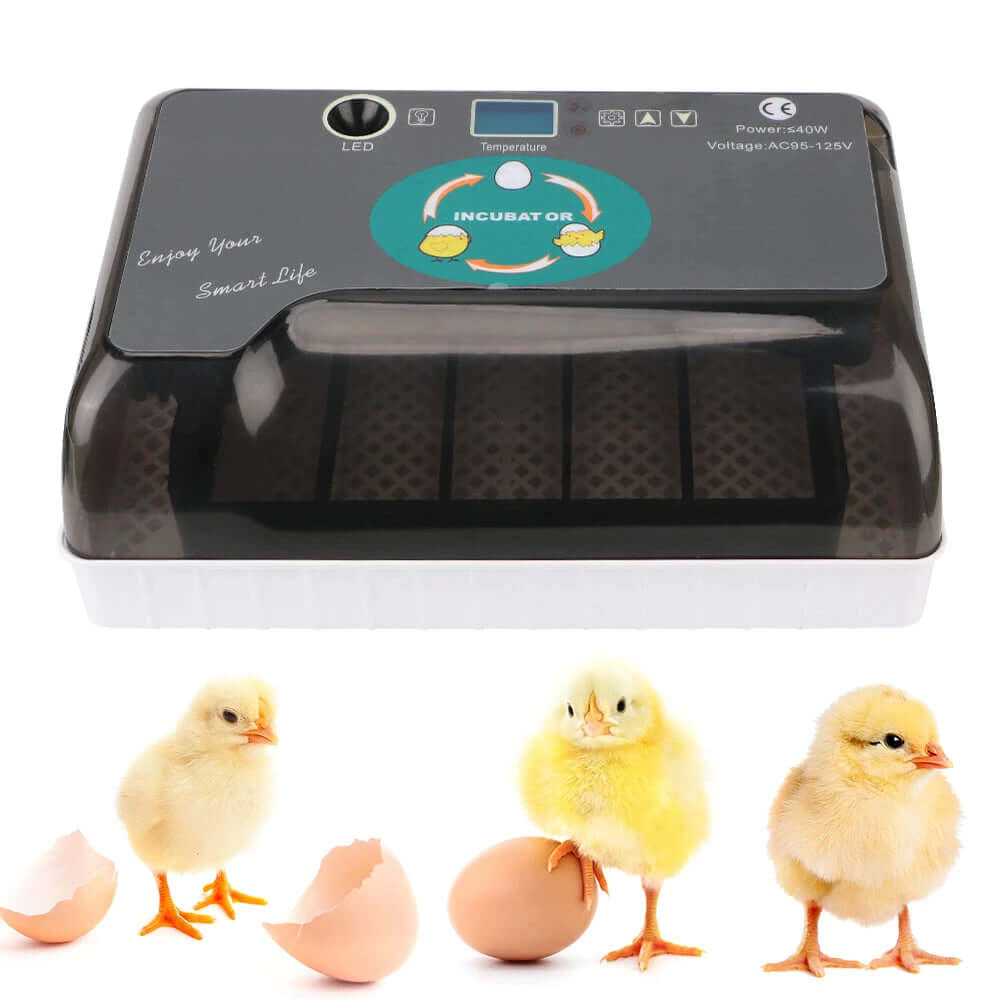Automatic Eggs Incubator For Hatching Chicken Eggs - Chicken Egg Incub ...