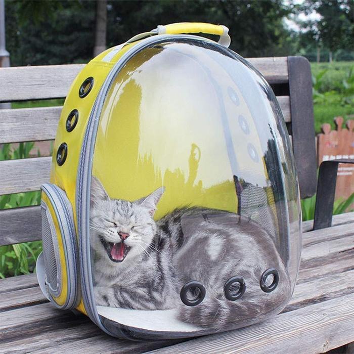 Cat Carrier Backpack With Space Capsule Bubble