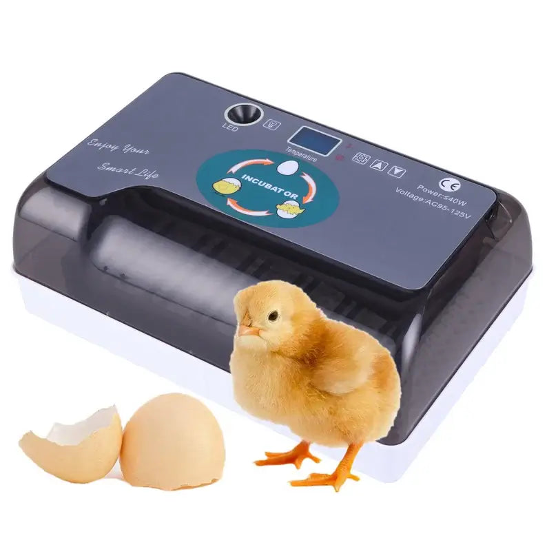 Fully Automatic Chicken, Duck, Goose, Pigeon, Quail, Hatching Machine ...