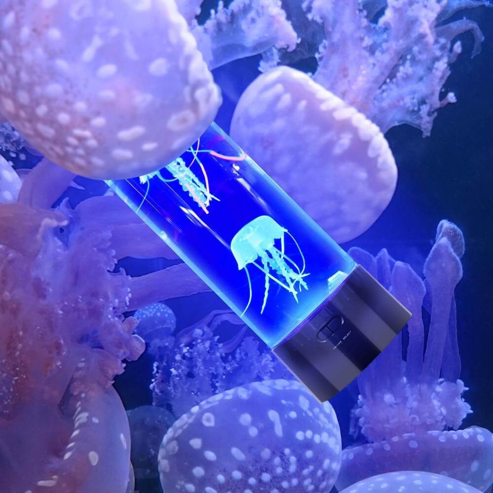 Jellyfish LED Lamp & Aquarium