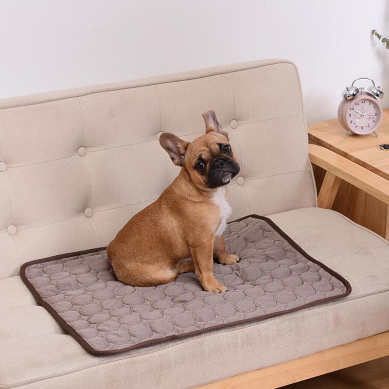 The Ultimate Cooling Pet Mat